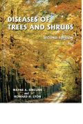 Diseases of Trees and Shrubs (    -   )