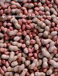 Compendium of Peanut Diseases (  -   )
