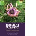 Nutrient Deficiencies of Bedding Plants (   -   )