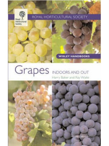 Grapes (Άμπελος - έκδοση στα αγγλικά) Grapes (Άμπελος - έκδοση στα αγγλικά)
