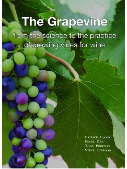 The Grapevine (Άμπελος - έκδοση στα αγγλικά) The Grapevine (Άμπελος - έκδοση στα αγγλικά)