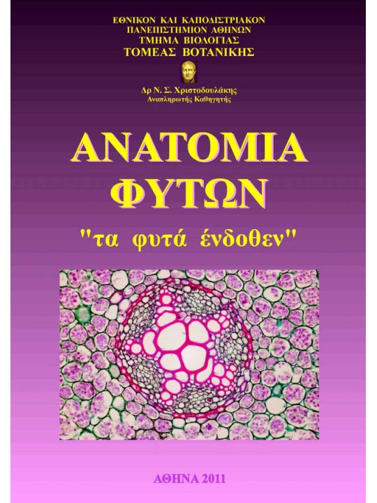 Ανατομία φυτών Ανατομία φυτών