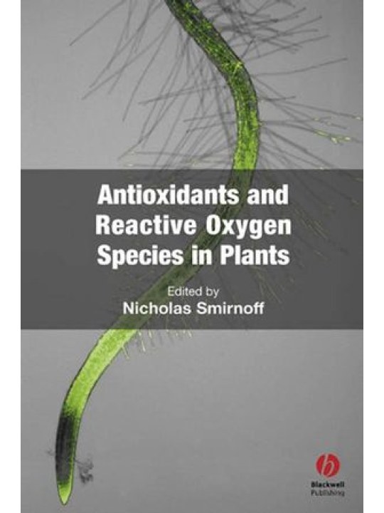 Antioxidants and Reactive Oxygen Species in Plants