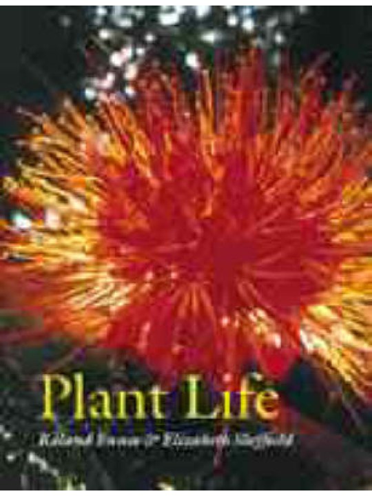 Plant Life