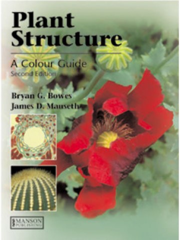 Plant Structure Plant Structure
