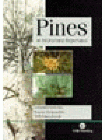 Pines of Silvicultural Importance  Pines of Silvicultural Importance