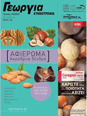 Ακρόδρυα δέντρα Ακρόδρυα δέντρα