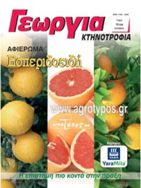 Εσπεριδοειδή