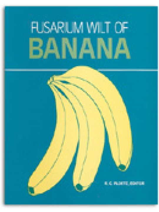Fusarium Wilt of Banana