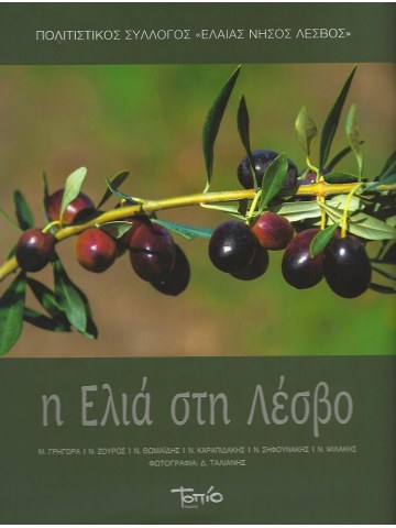 H ελιά στη Λέσβο