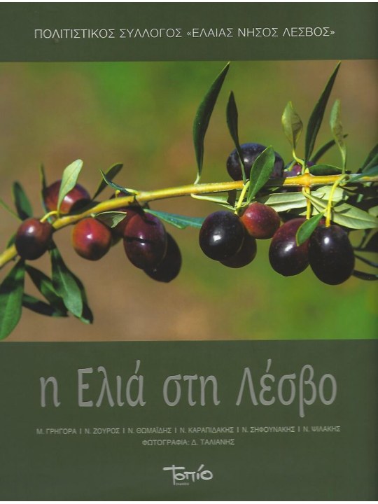 H ελιά στη Λέσβο