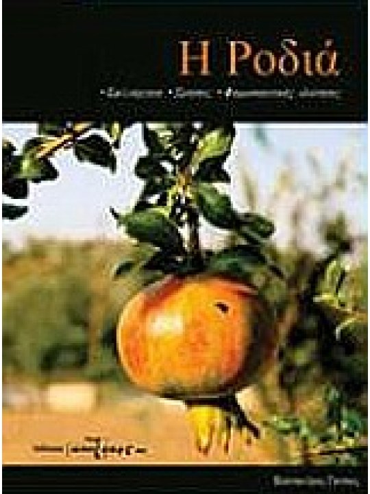 Η Ροδιά: καλλιέργεια, χρήσεις, φαρμακευτικές ιδιότητες Η Ροδιά: καλλιέργεια, χρήσεις, φαρμακευτικές ιδιότητες