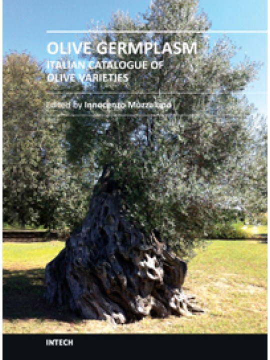 Olive Germplasm - Italian Catalogue of Olive Varieties (Ποικιλίες ελαιόδενδρου - έκδοση στα αγγλικά)