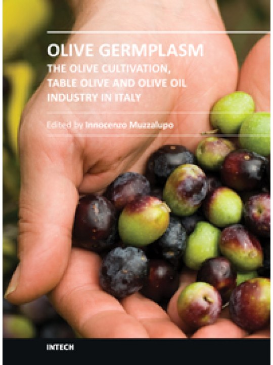 Olive Germplasm - The Olive Cultivation, Table Olive and Olive Oil Industry in Italy (Ελαιοκομία - έκδοση στα αγγλικά)