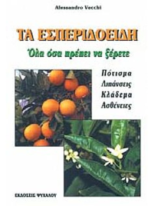 Τα εσπεριδοειδή - Όλα όσα πρέπει να ξέρετε  Τα εσπεριδοειδή - Όλα όσα πρέπει να ξέρετε
