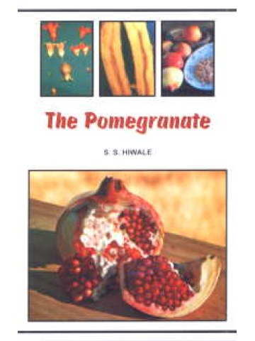 The Pomegranate (Η ροδιά - Έκδοση στα αγγλικά) Hiwale