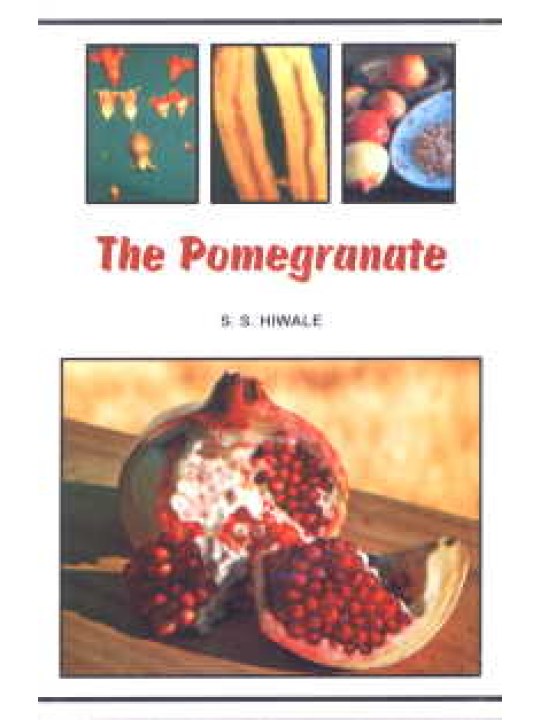 The Pomegranate (Η ροδιά - Έκδοση στα αγγλικά) Hiwale
