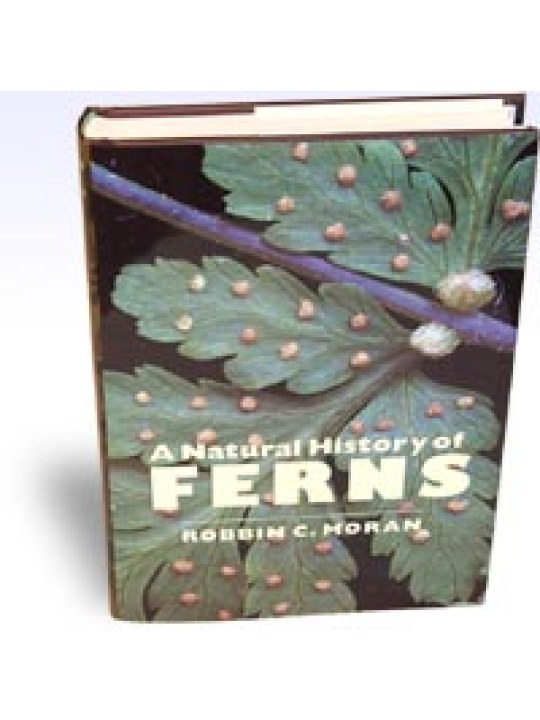A Natural History of Ferns (Φτέρες - έκδοση στα αγγλικά)