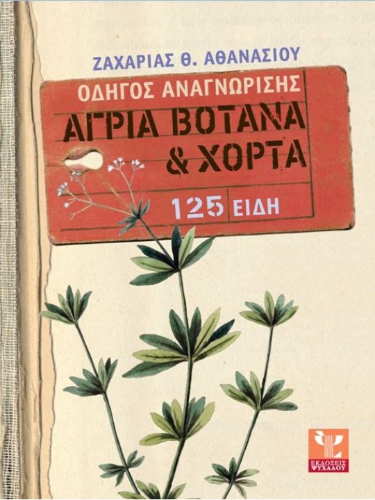 Άγρια βότανα και χόρτα