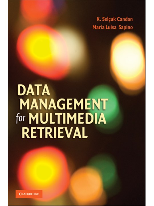 Data Management for Multimedia Retrieval