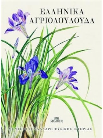 Ελληνικά αγριολούλουδα Ελληνικά αγριολούλουδα