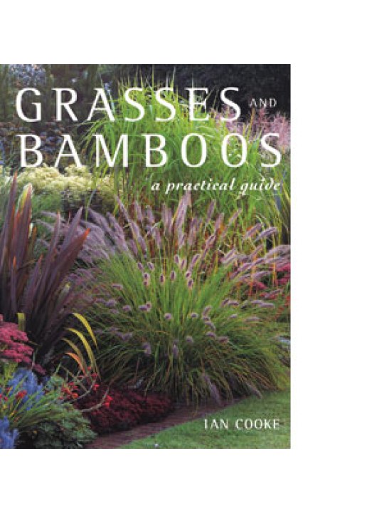 Grasses and Bamboos