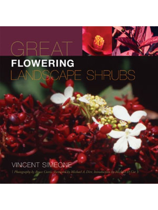 Great Flowering Landscape Shrubs