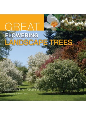Great Flowering Landscape Trees