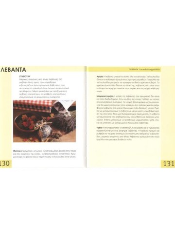 Λεξικό μπαχαρικών και μυρωδικών