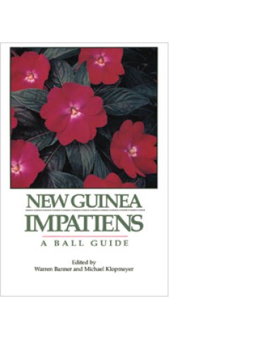 New Guinea Impatiens