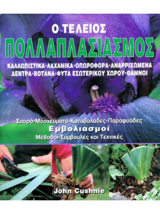 Ο τέλειος πολλαπλασιασμός  Ο τέλειος πολλαπλασιασμός