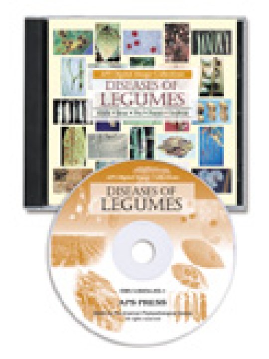 Diseases of Legumes CD-Rom