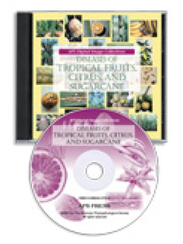 Diseases of Tropical Fruits, Citrus and Sugarcane CD-Rom Diseases of Tropical Fruits, Citrus and Sugarcane CD-Rom
