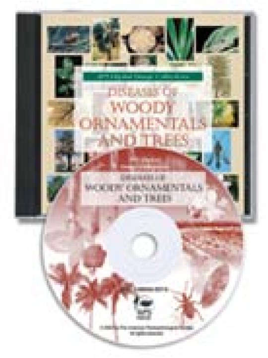 Diseases of Woody Ornamentals and Trees