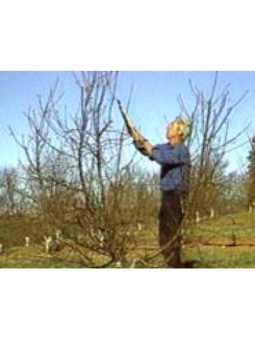 Pruning and Training Fruit and Nut Trees (DVD) (Κλάδεμα οπωροφόρων δέντρων - DVD στα αγγλικά) Pruning and Training Fruit and Nut Trees (DVD) (Κλάδεμα οπωροφόρων δέντρων - DVD στα αγγλικά)
