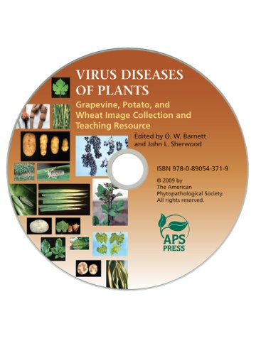 VIRUS DISEASES OF PLANTS: Grapevine, Potato, and Wheat Image Collection and Teaching Resource CD VIRUS DISEASES OF PLANTS: Grapevine, Potato, and Wheat Image Collection and Teaching Resource CD