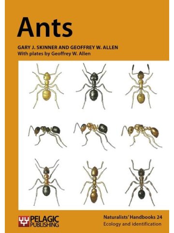 Ants (Μυρμήγκια - έκδοση στα αγγλικά) Ants (Μυρμήγκια - έκδοση στα αγγλικά)