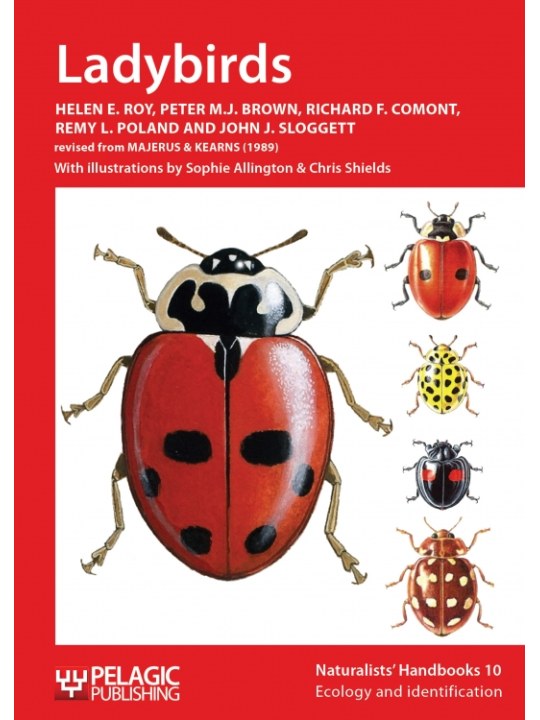 Ladybirds (Πασχαλίτσες - έκδοση στα αγγλικά)