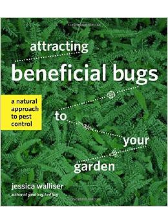 Attracting Beneficial Bugs to Your Garden