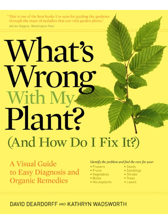 What's Wrong With My Plant? (And How Do I Fix It?)