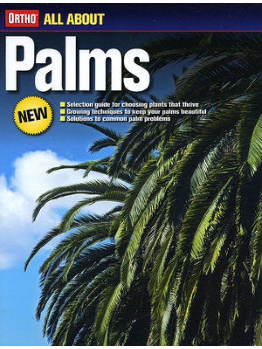 All About Palms
