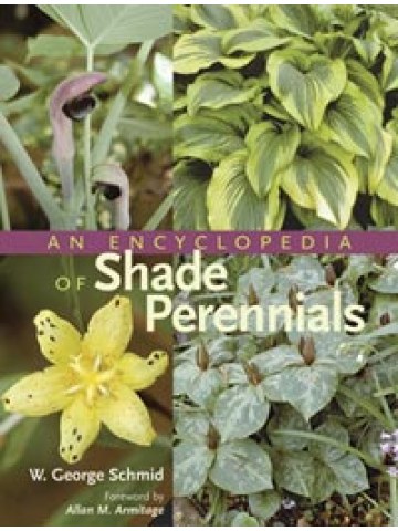 An Encyclopedia of Shade Perennials