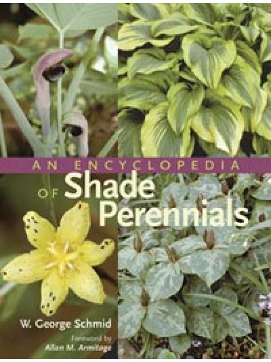An Encyclopedia of Shade Perennials