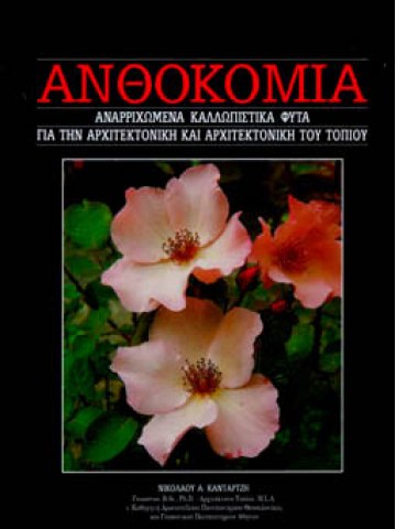 Αναρριχώμενα καλλωπιστικά φυτά  Αναρριχώμενα καλλωπιστικά φυτά