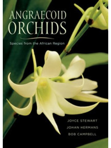 Angraecoid Orchids Species from the African Region