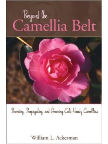 Beyond the Camellia Belt