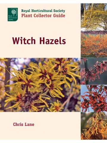 Big Gardens in Small Spaces: Out-of-the-Box Advice for Boxed-in Gardeners