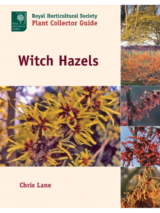 Big Gardens in Small Spaces: Out-of-the-Box Advice for Boxed-in Gardeners (Μεγάλοι κήποι σε μικρούς χώρους - έκδοση στα αγγλικά)