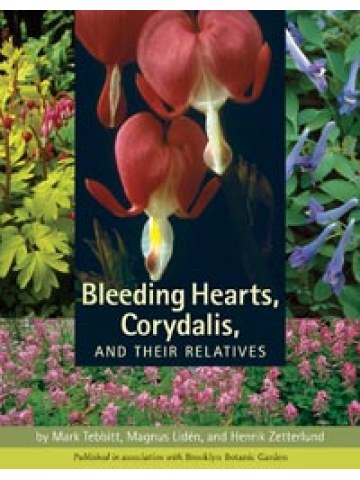 Bleeding Hearts, Corydalis, and Their Relatives