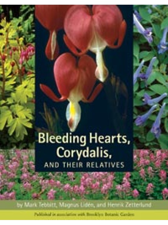 Bleeding Hearts, Corydalis, and Their Relatives